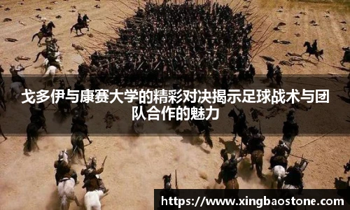 南宫NG·28